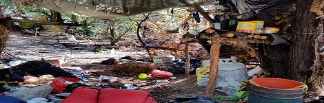 Greenleaf Crossing- trash(mod5)